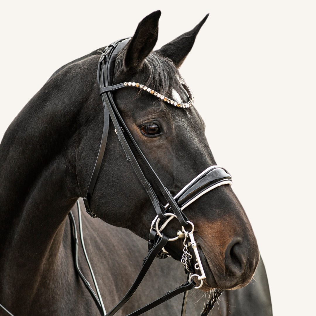 Kandarenzaum Volterra mit Wunschstirnriemen