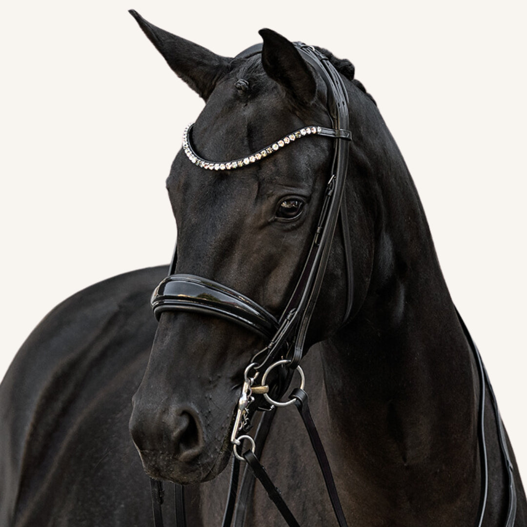 Kandarenzaum Volterra mit Wunschstirnriemen