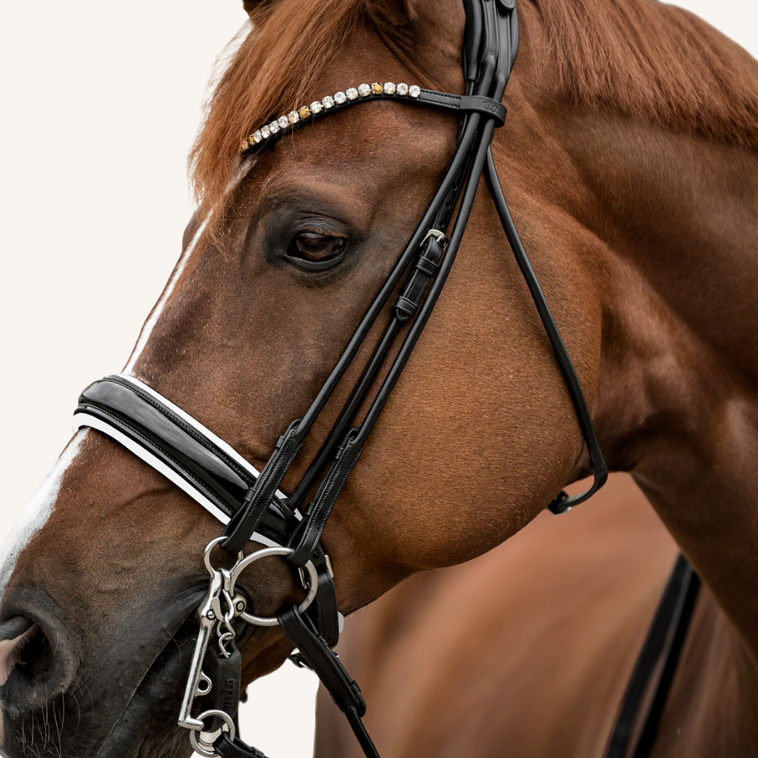 Kandarenzaum Venezia mit Wunschstirnriemen