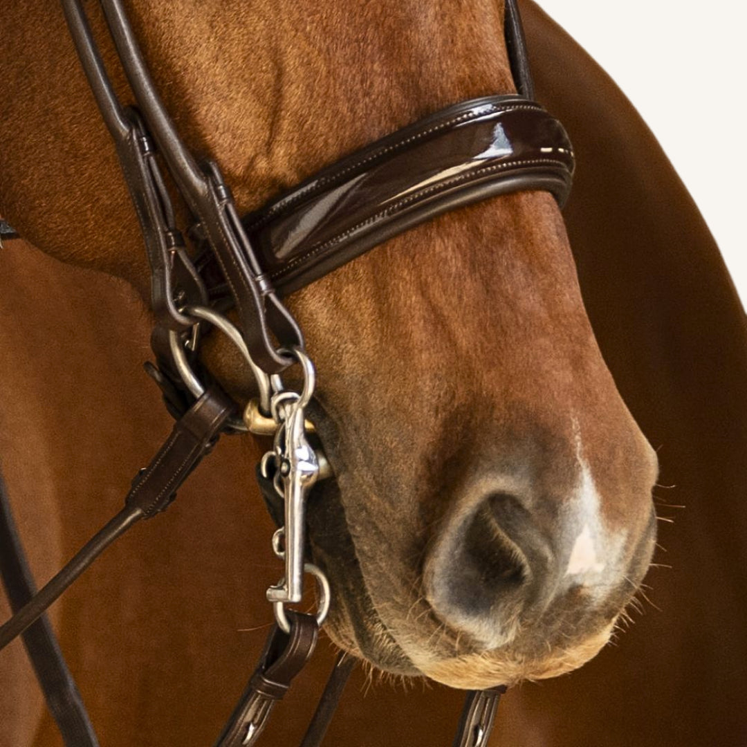 Kandarenzaum Venezia mit Wunschstirnriemen