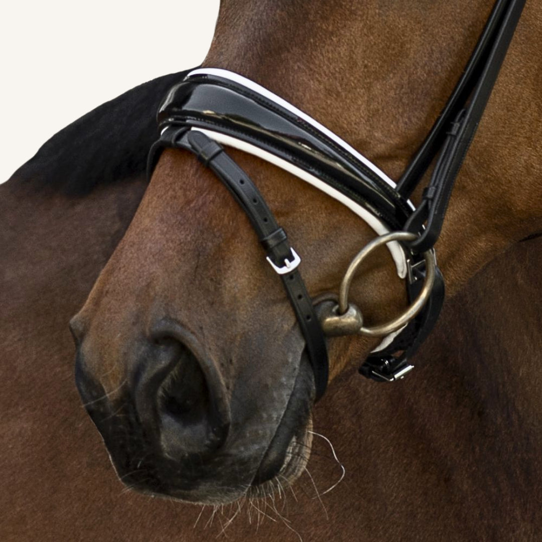 Trensenzaum Volterra mit Wunschstirnriemen