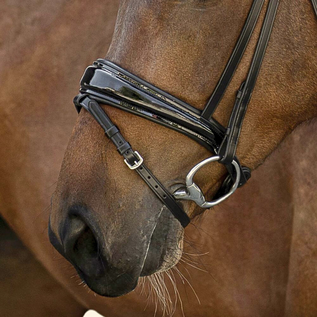 Trensenzaum Volterra mit Wunschstirnriemen