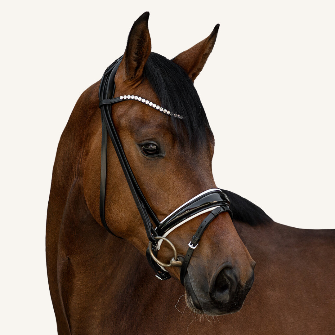 Trensenzaum Volterra mit Wunschstirnriemen