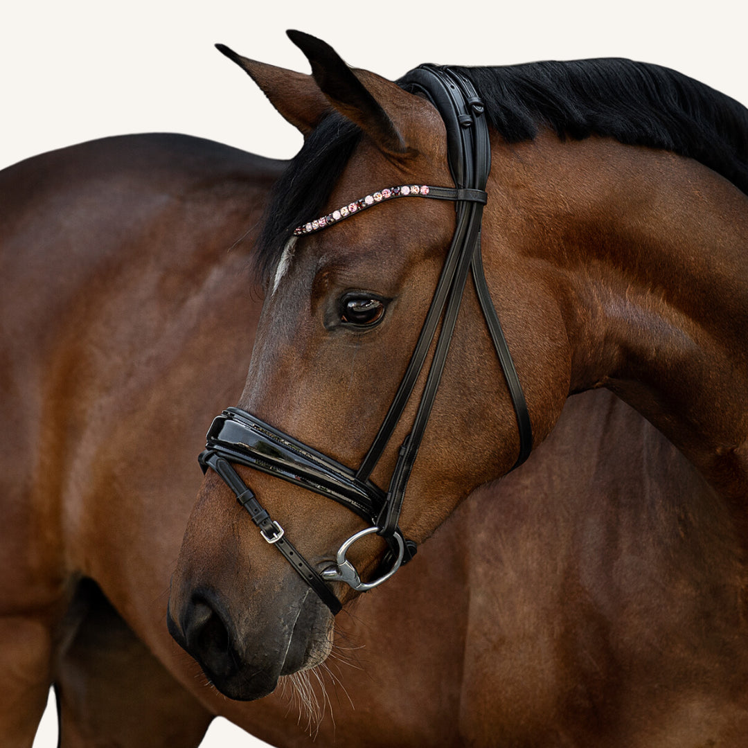 Trensenzaum Volterra mit Wunschstirnriemen