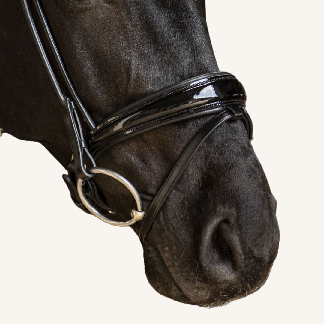 Trensenzaum Vittoria mit Wunschstirnriemen