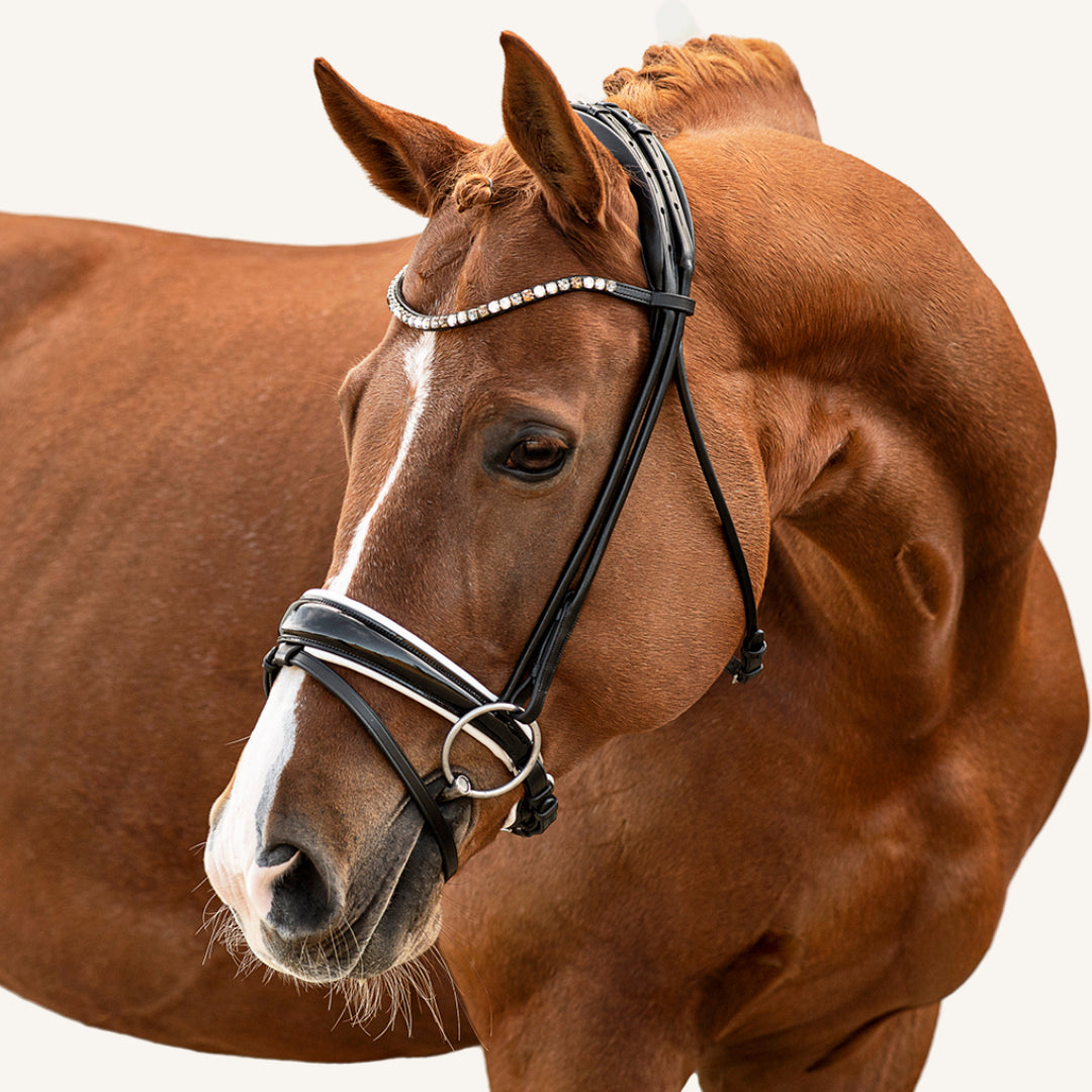 Trensenzaum Vittoria mit Wunschstirnriemen