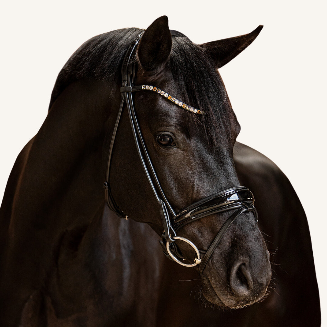 Trensenzaum Vittoria mit Wunschstirnriemen