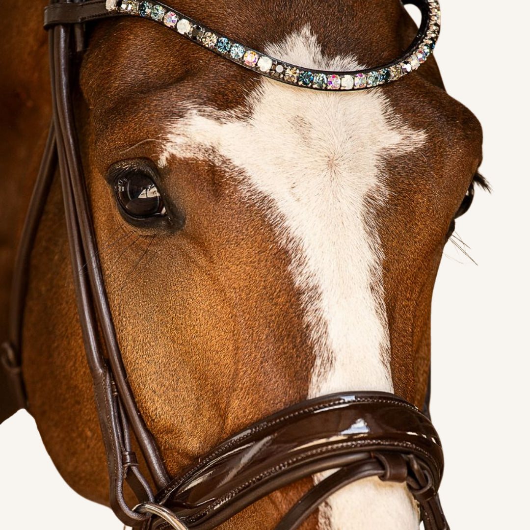 Trensenzaum Venezia mit Wunschstirnriemen