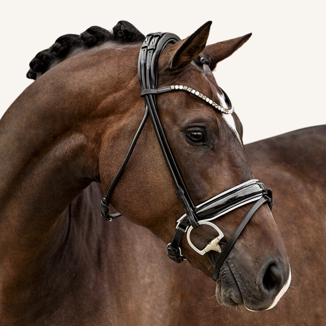 Trensenzaum Venezia mit Wunschstirnriemen
