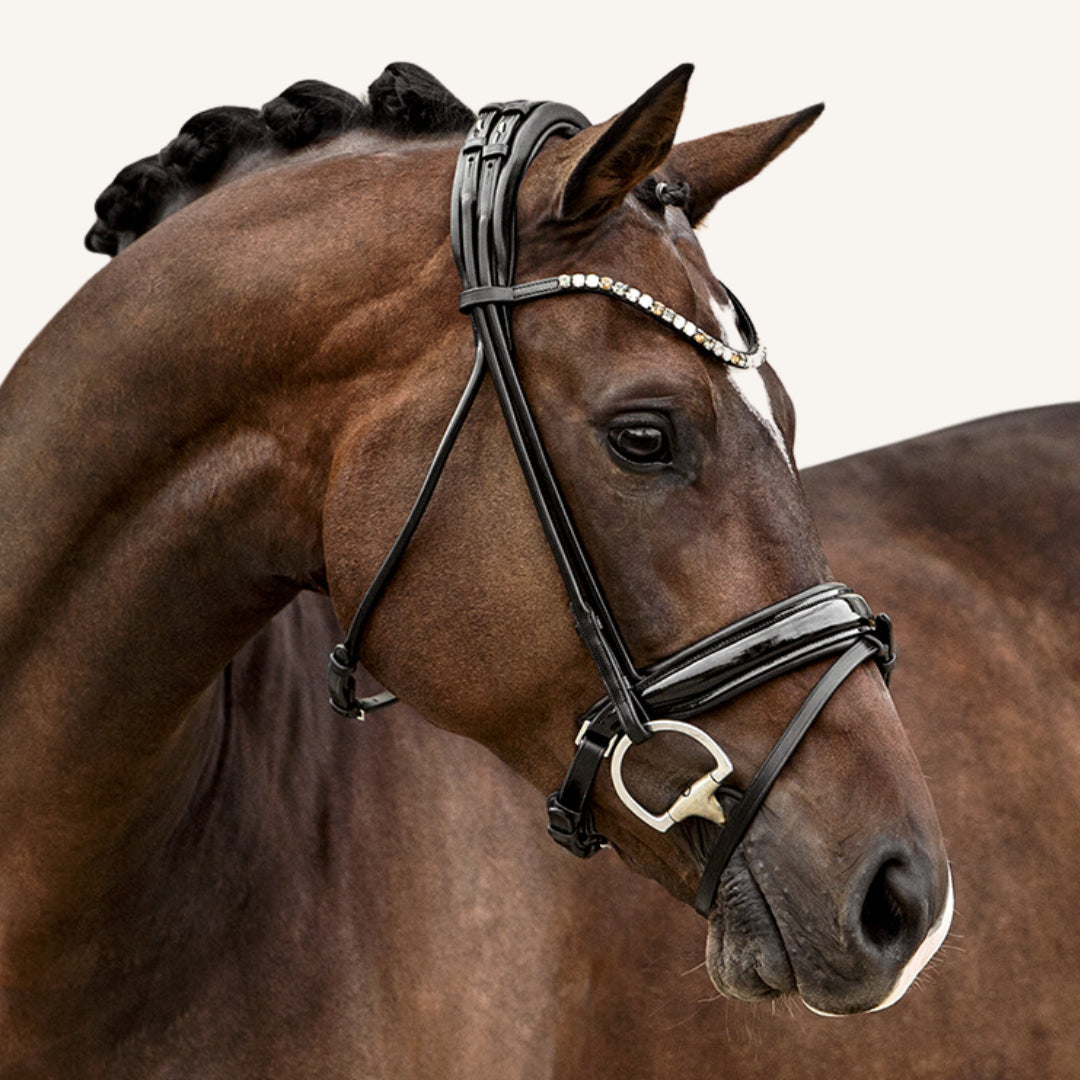Trensenzaum Venezia mit Wunschstirnriemen