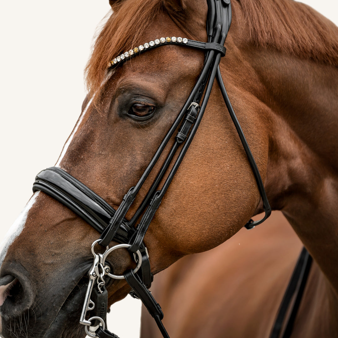 Kandarenzaum Venezia mit Wunschstirnriemen