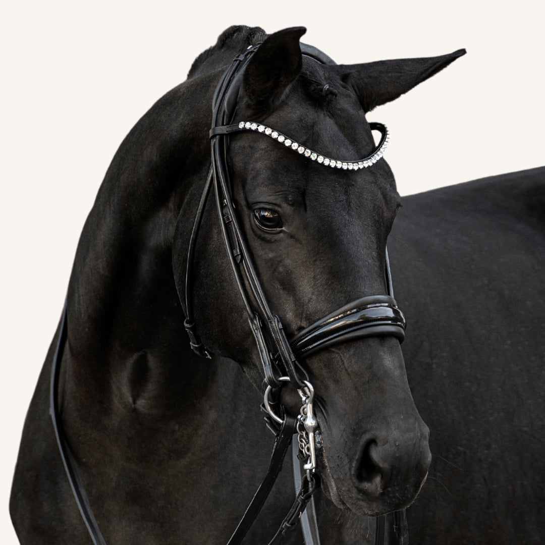 Kandarenzaum Viadana mit Wunschstirnriemen
