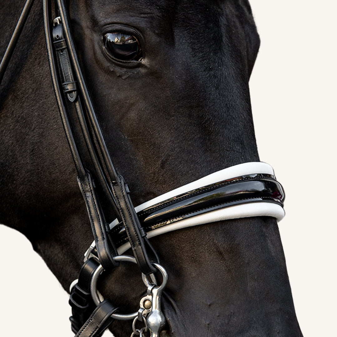 Kandarenzaum Viadana mit Wunschstirnriemen