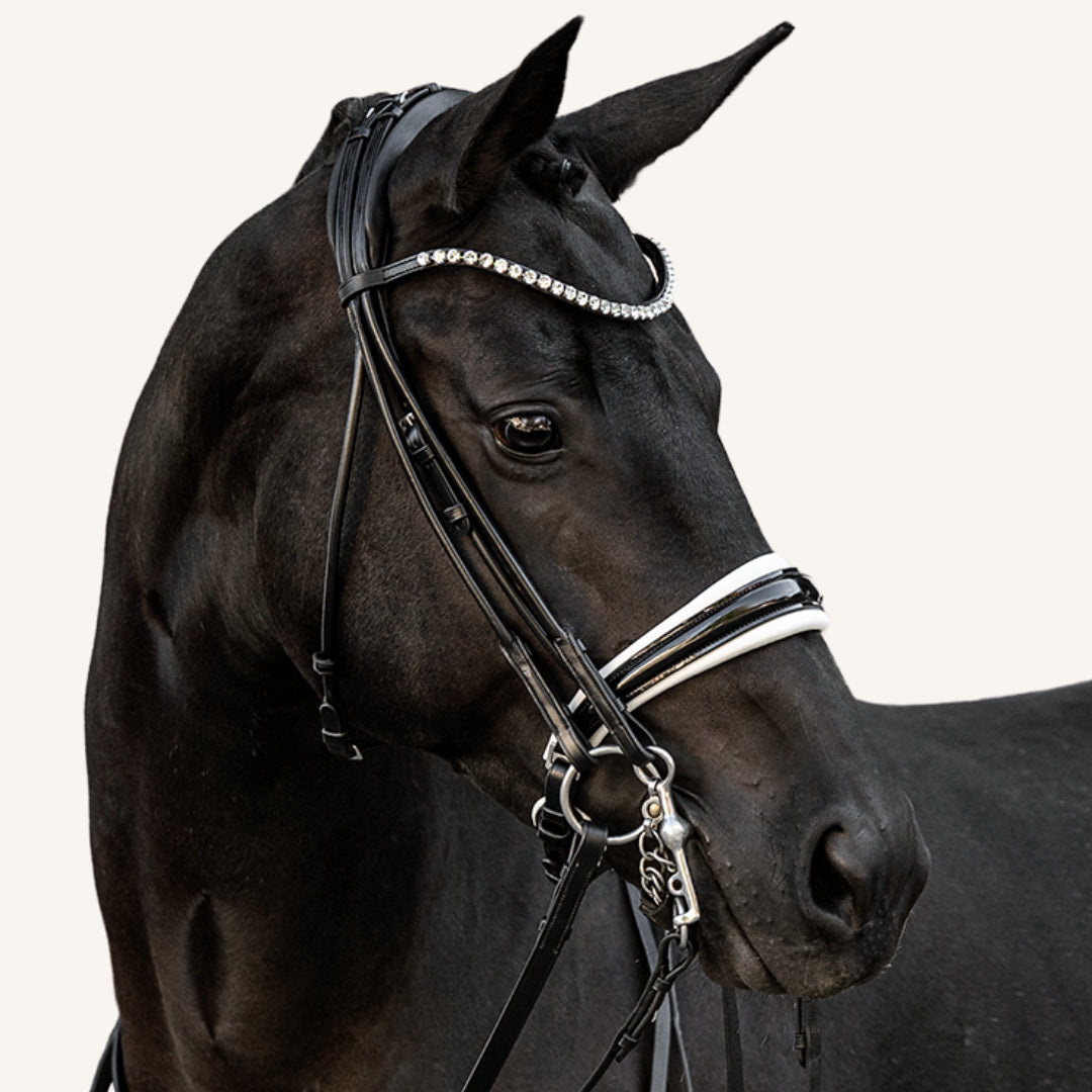 Kandarenzaum Viadana mit Wunschstirnriemen