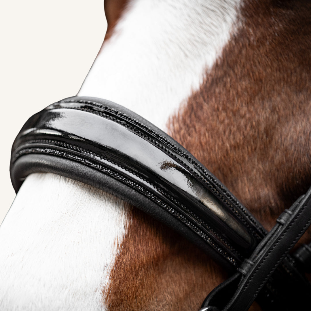 Kandarenzaum Black Edition + Super Soft Kandarenzügel + GRATIS Dust Bag
