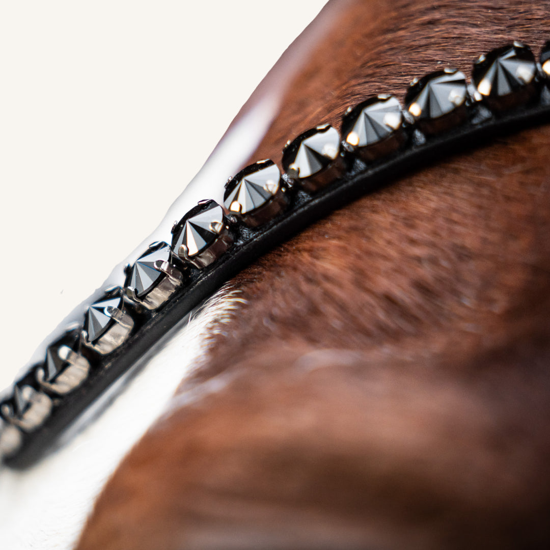 Kandarenzaum Black Edition + Super Soft Kandarenzügel + GRATIS Dust Bag