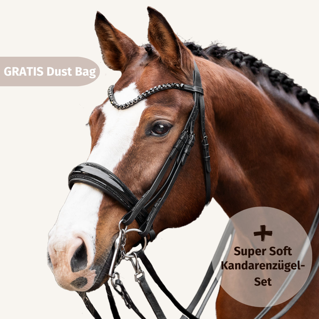 Kandarenzaum Black Edition + Super Soft Kandarenzügel + GRATIS Dust Bag