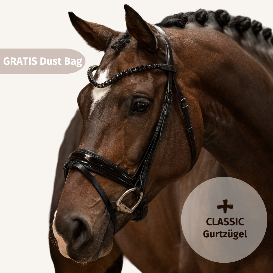 Trensenzaum Black Edition + Gurtzügel + GRATIS Dust Bag