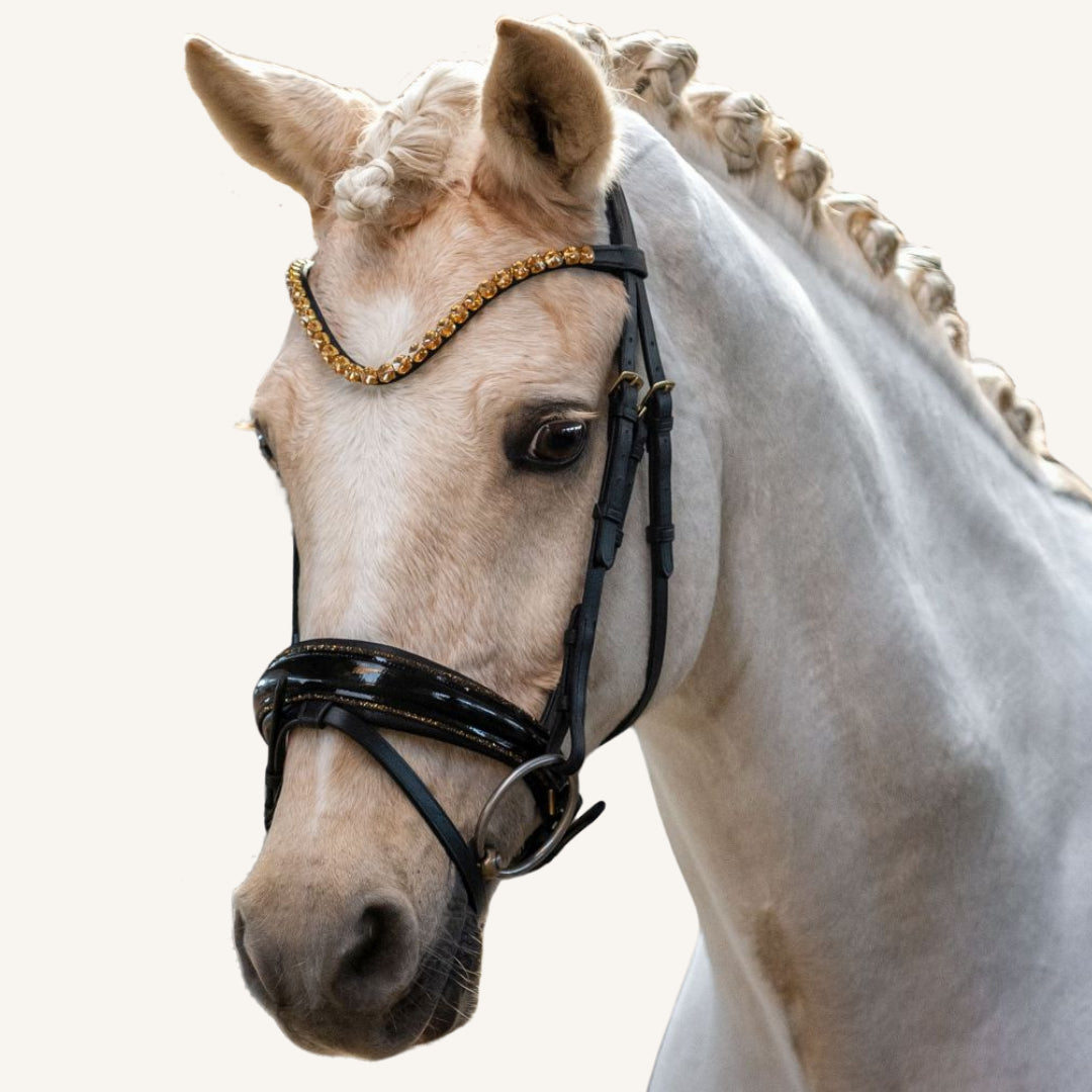 Trensenzaum Gold Edition + Gurtzügel + GRATIS Dust Bag