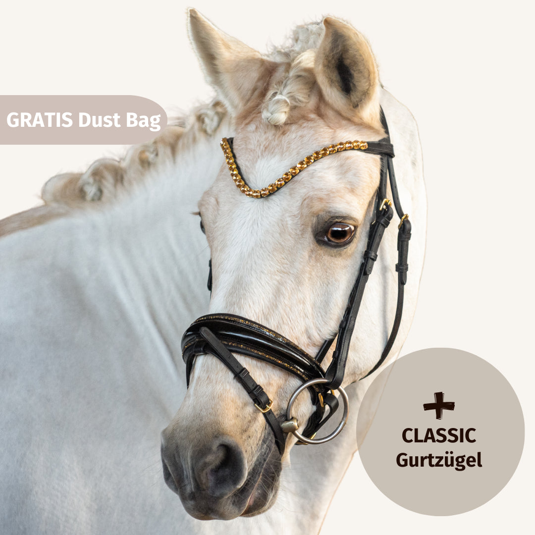 Trensenzaum Gold Edition + Gurtzügel + GRATIS Dust Bag