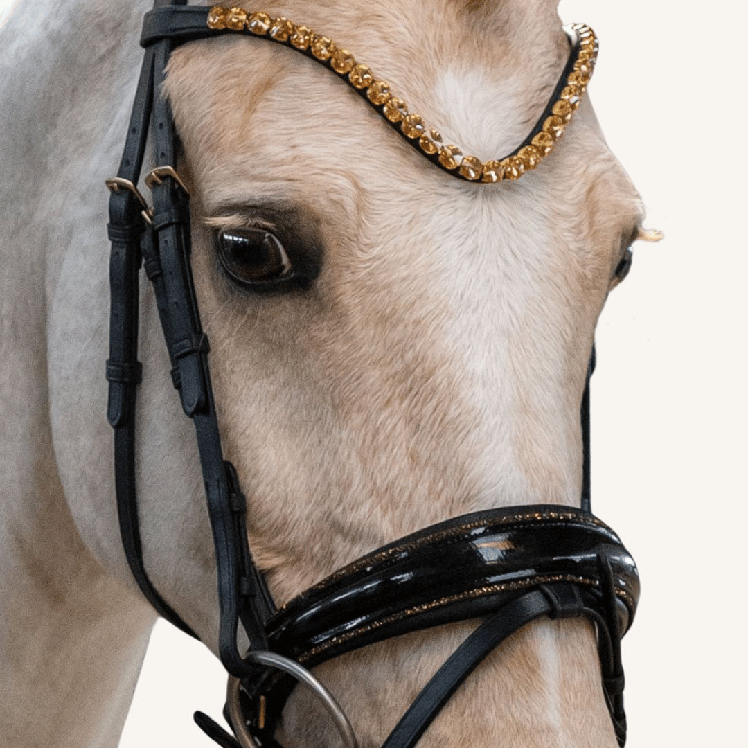 Trensenzaum Gold Edition + Gurtzügel + GRATIS Dust Bag