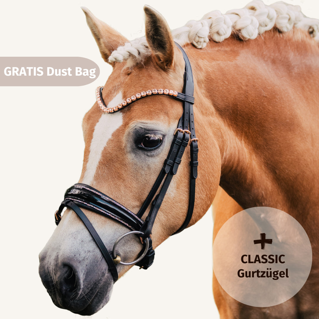 Trensenzaum Roségold Edition + Gurtzügel + GRATIS Dust Bag