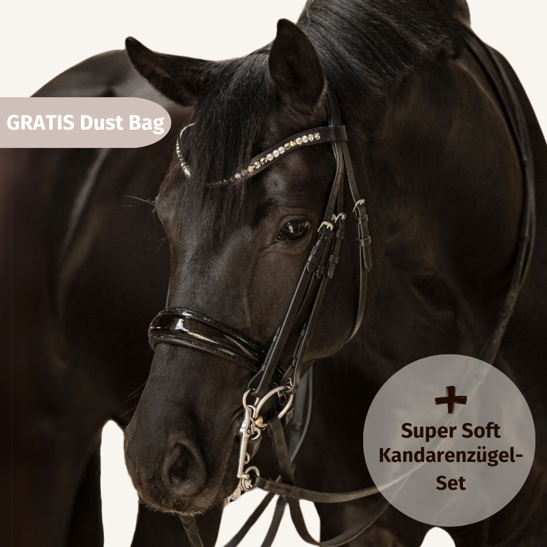 Kandarenzaum Riva + Super Soft Kandarenzügel + GRATIS Dust Bag