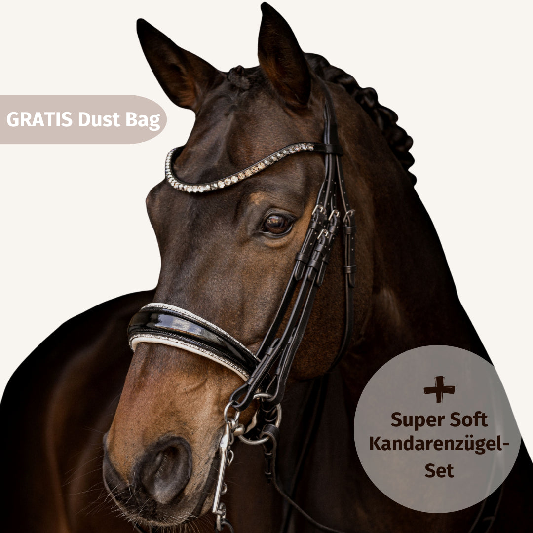 Kandarenzaum Riva + Super Soft Kandarenzügel + GRATIS Dust Bag