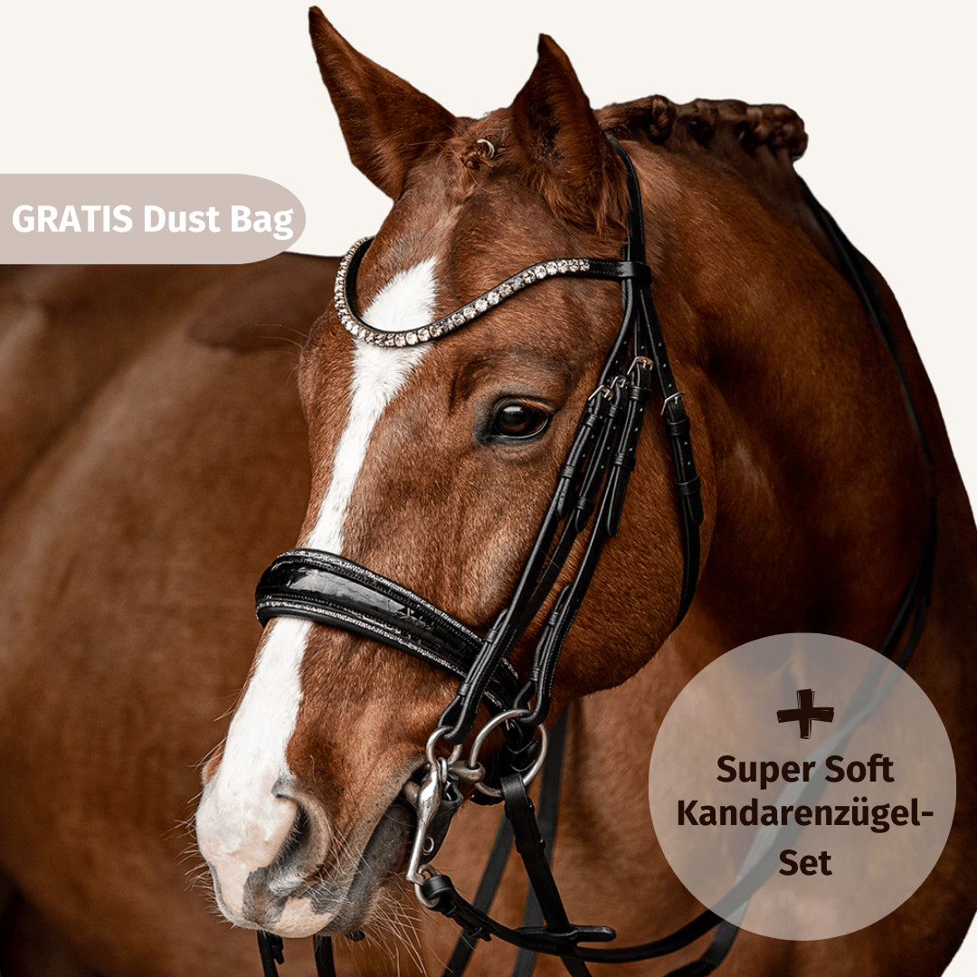 Kandarenzaum Riva + Super Soft Kandarenzügel + GRATIS Dust Bag