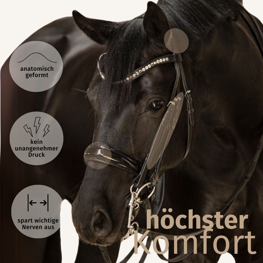 Kandarenzaum Riva + Super Soft Kandarenzügel + GRATIS Dust Bag