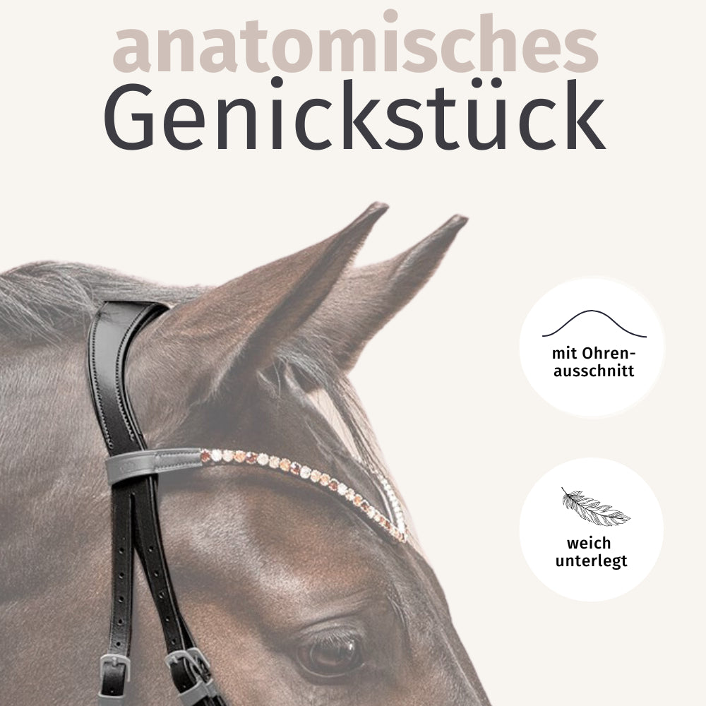 Trensenzaum Riva + Super Soft Zügel + GRATIS Dust Bag