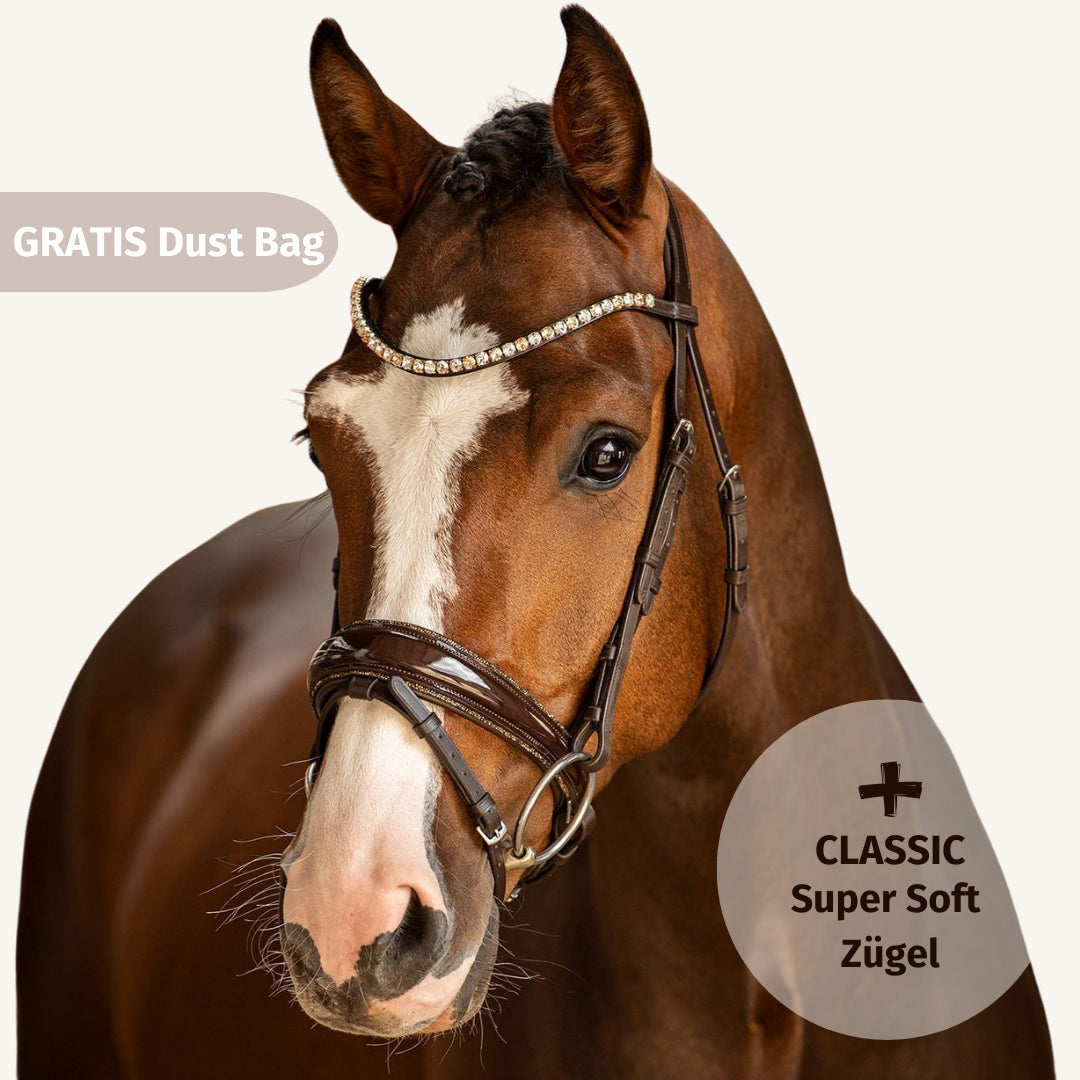 Trensenzaum Riva + Super Soft Zügel + GRATIS Dust Bag