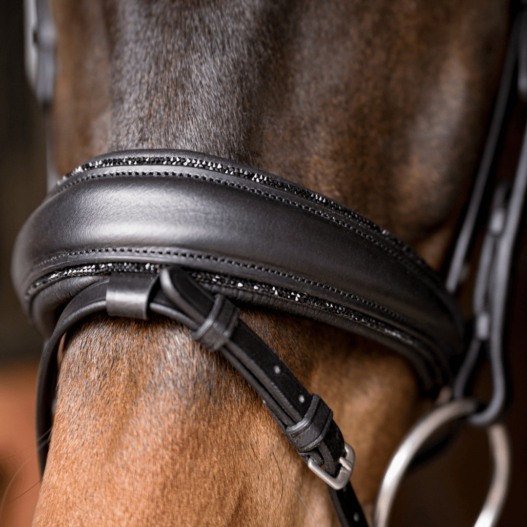 Trensenzaum Riva + Super Soft Zügel + GRATIS Dust Bag
