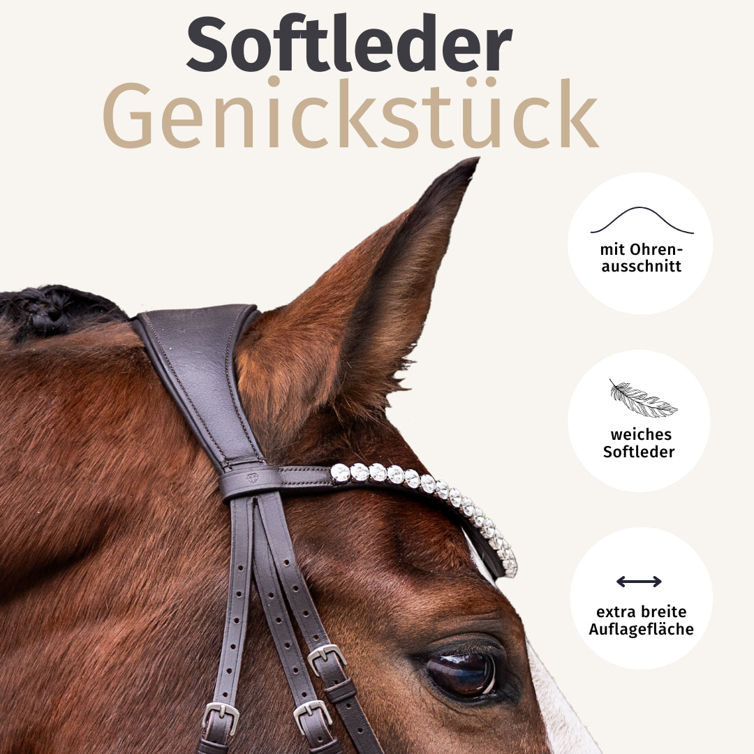 Trensenzaum Modena Glitter mit Wunschstirnriemen