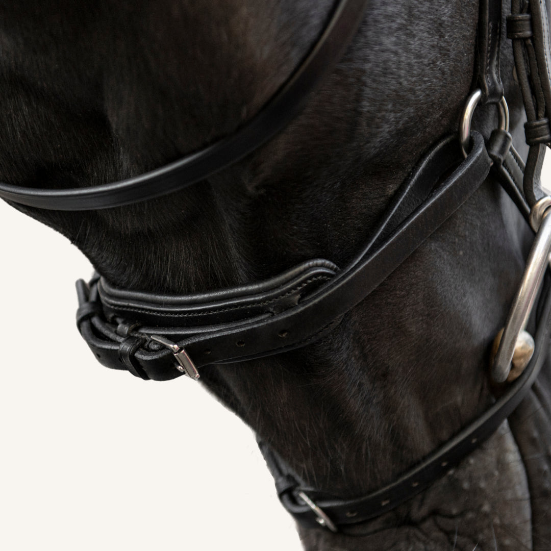 Trensenzaum Modena Glitter mit Wunschstirnriemen