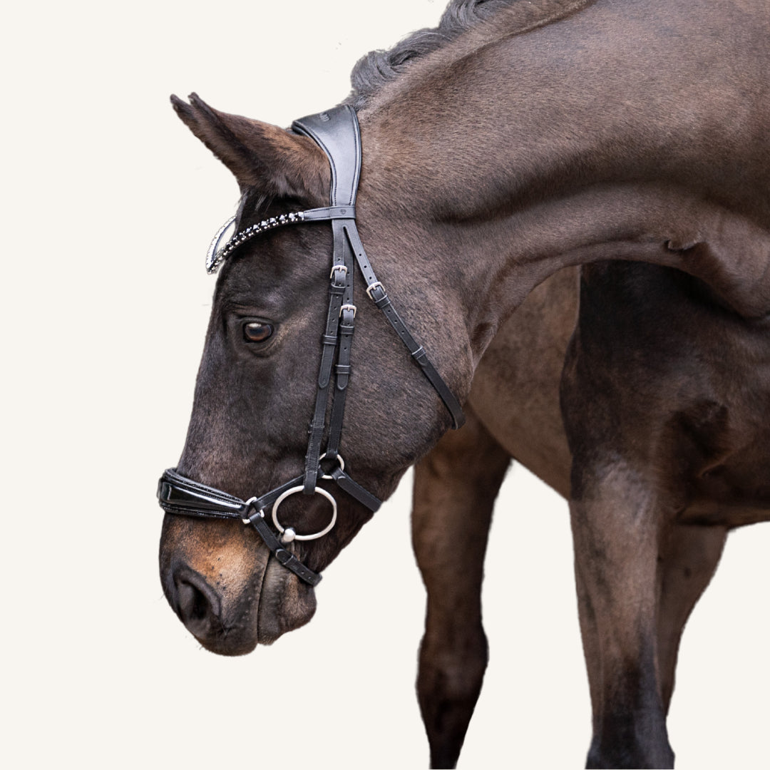 Trensenzaum Modena Glitter mit Wunschstirnriemen