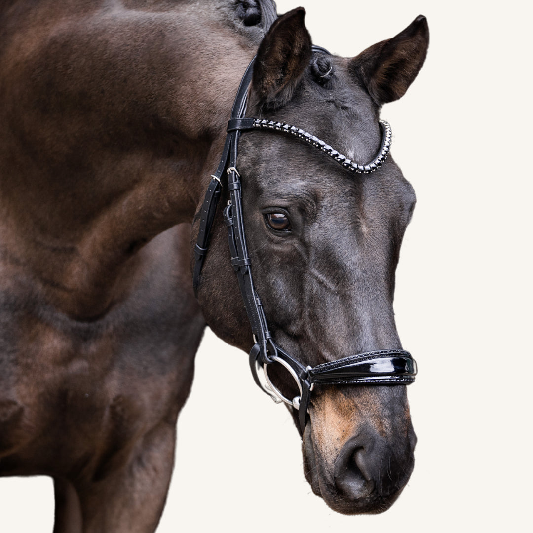 Trensenzaum Modena Glitter mit Wunschstirnriemen