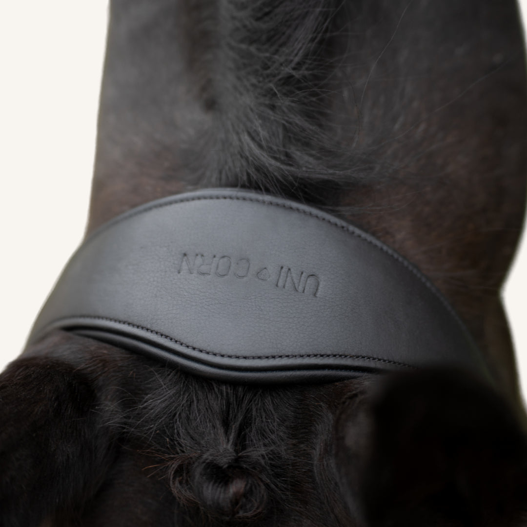 Trensenzaum Modena mit Wunschstirnriemen