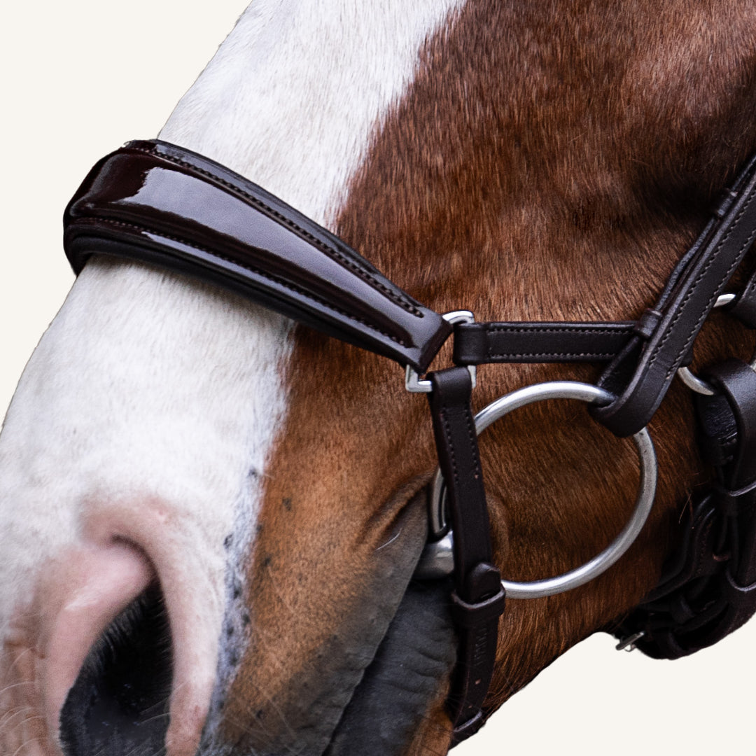 Trensenzaum Modena mit Wunschstirnriemen