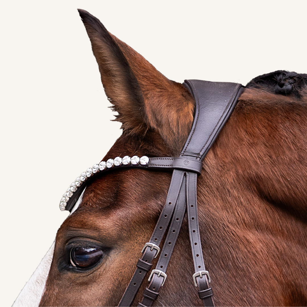 Trensenzaum Modena mit Wunschstirnriemen