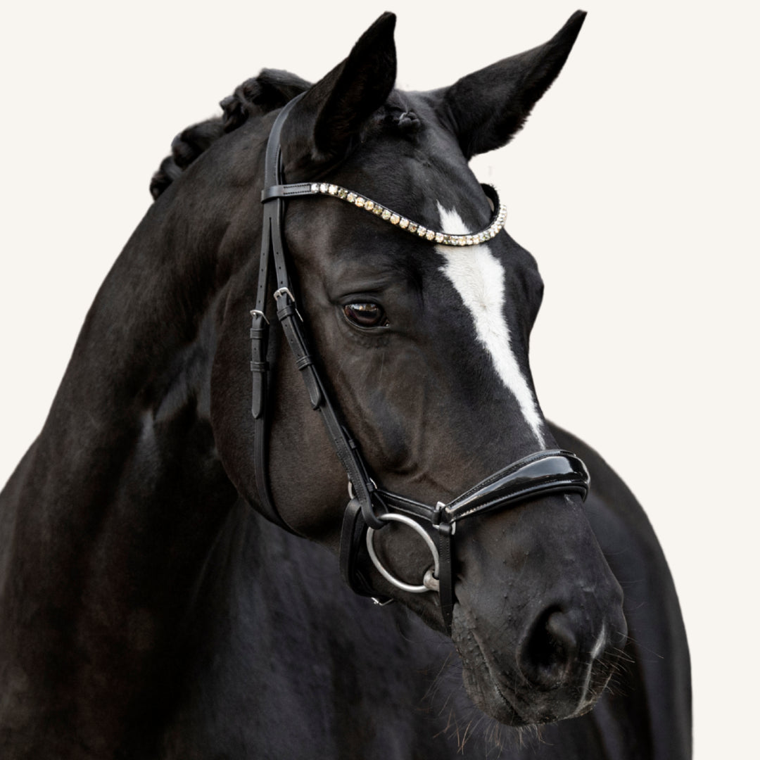 Trensenzaum Modena mit Wunschstirnriemen