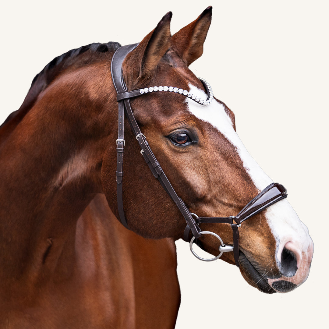 Trensenzaum Modena mit Wunschstirnriemen