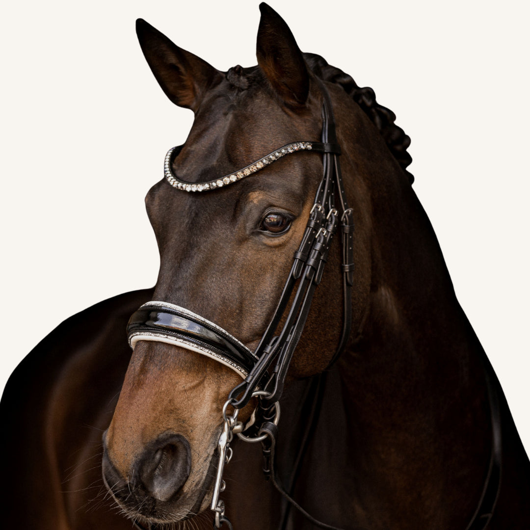 Kandarenzaum Riva mit Wunschstirnriemen