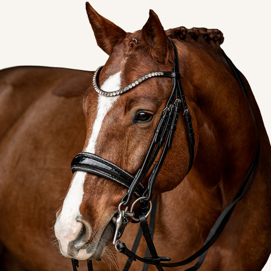 Kandarenzaum Riva mit Wunschstirnriemen