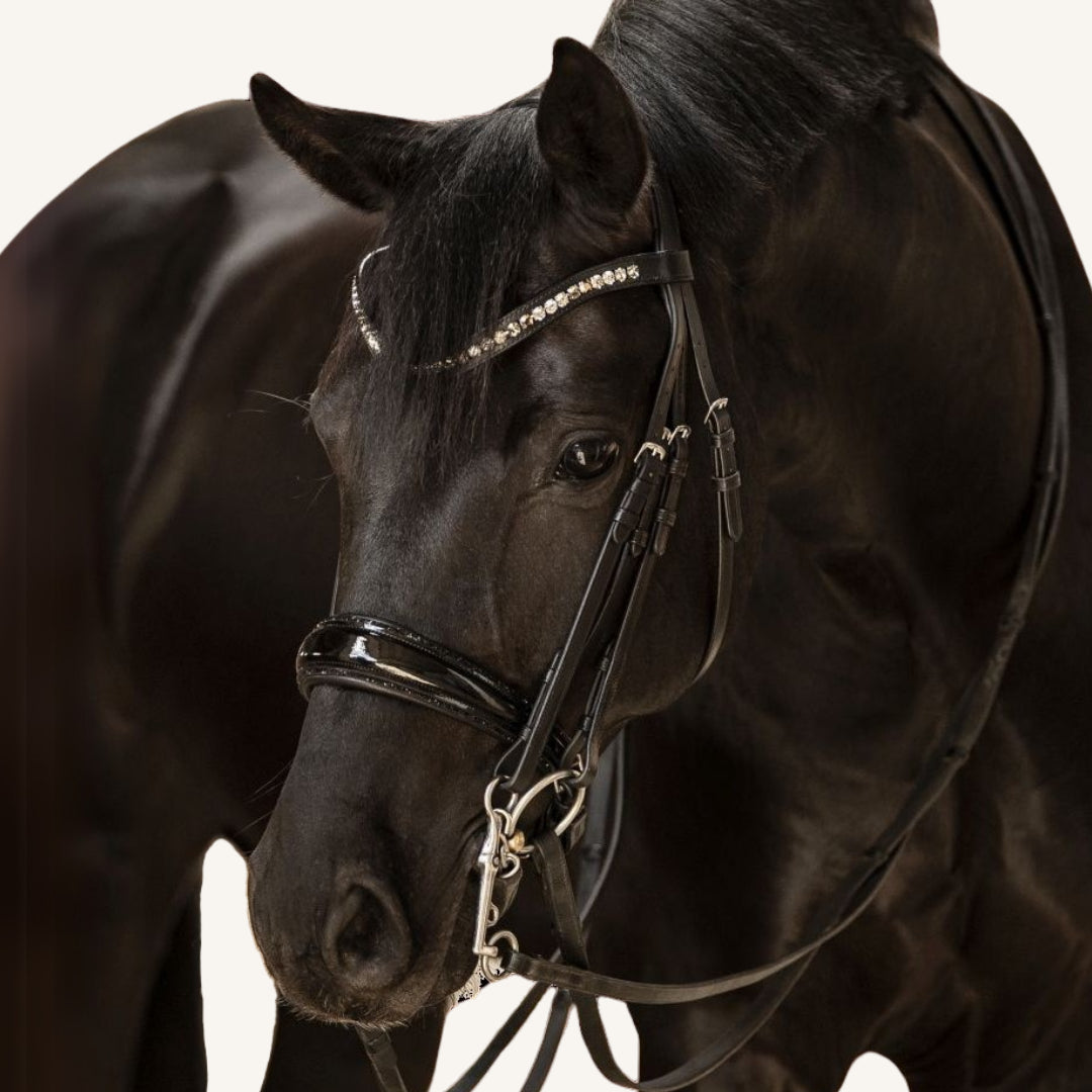 Kandarenzaum Riva mit Wunschstirnriemen