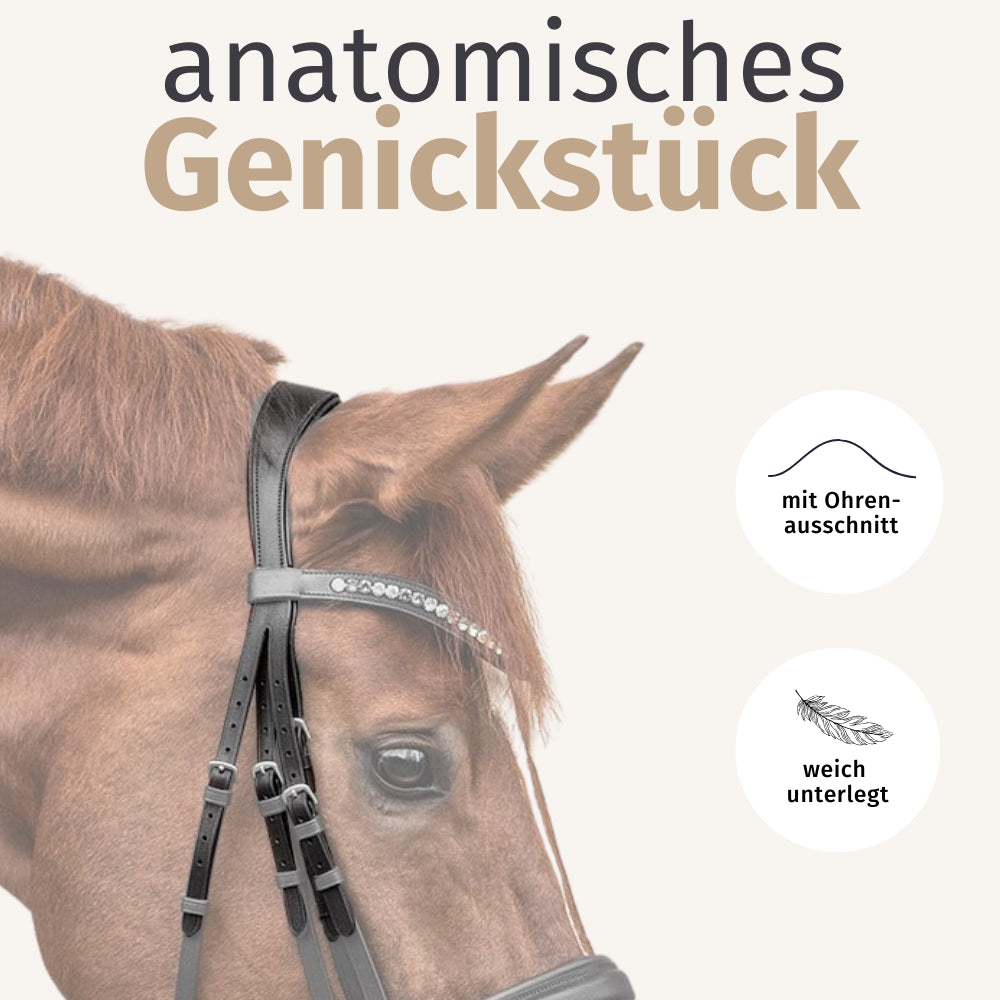 Kandarenzaum Riva mit Wunschstirnriemen