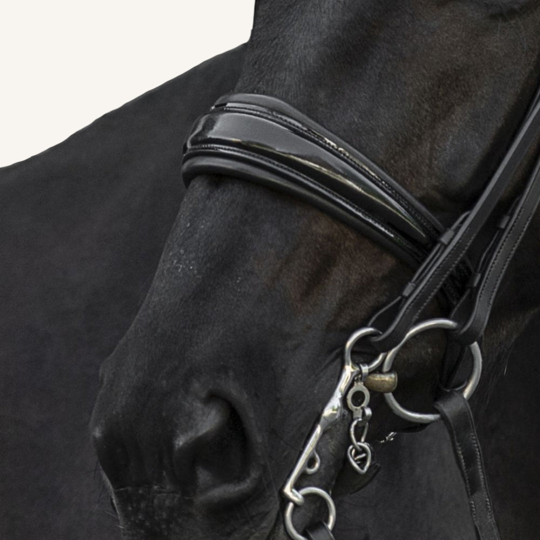 Kandarenzaum Rosano mit Wunschstirnriemen