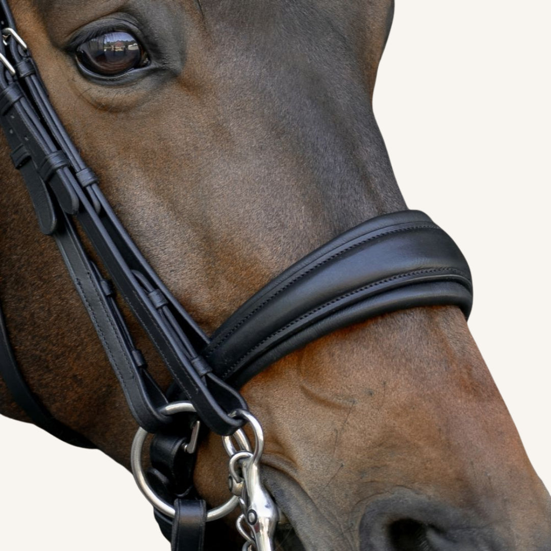 Kandarenzaum Rosano mit Wunschstirnriemen