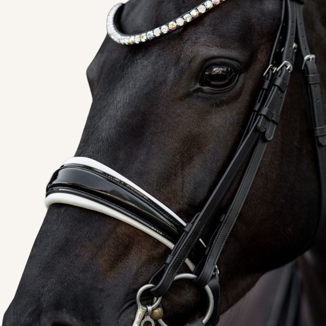 Kandarenzaum Rosano mit Wunschstirnriemen