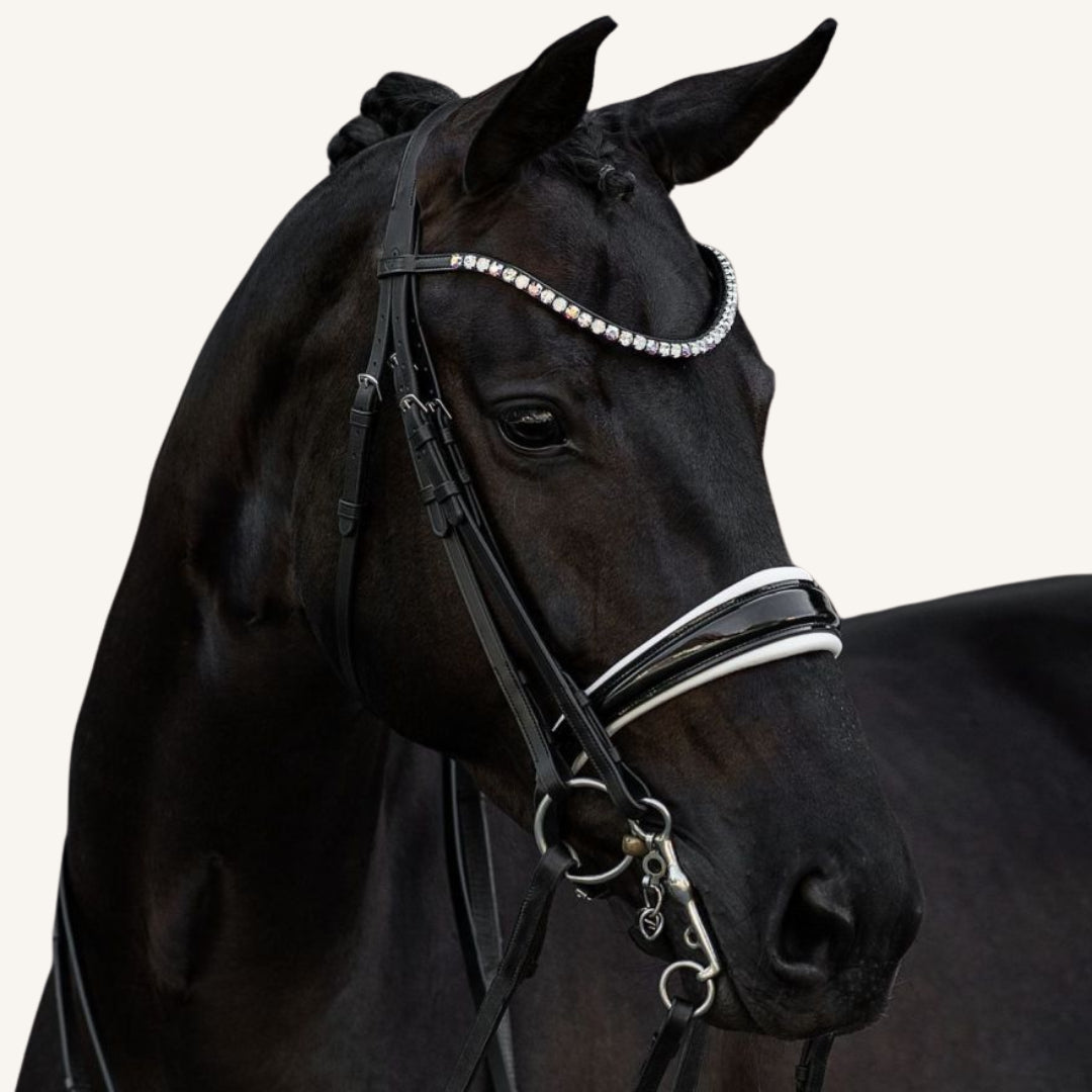 Kandarenzaum Rosano mit Wunschstirnriemen